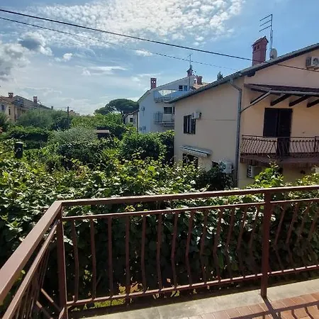 Daria * Novigrad Istria