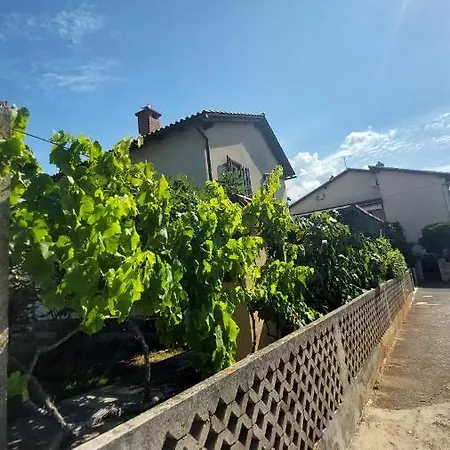 Daria Novigrad Istria