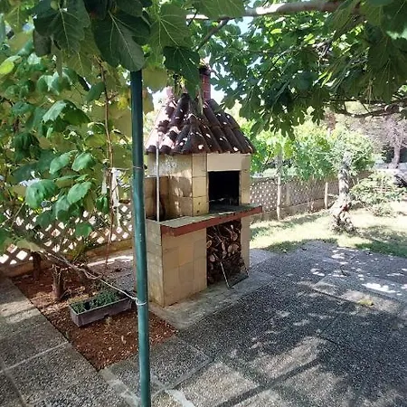 Daria Novigrad (Istria)
