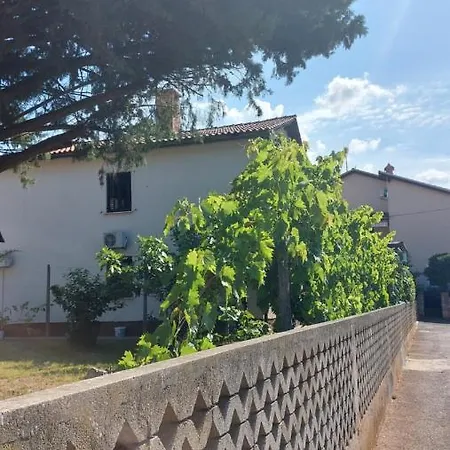 Daria Novigrad Istria