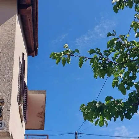Daria Novigrad Istria